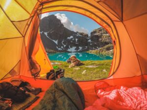 A cozy tent view overlooking a pristine mountain lake with a dog resting nearby, perfect for adventure seekers.